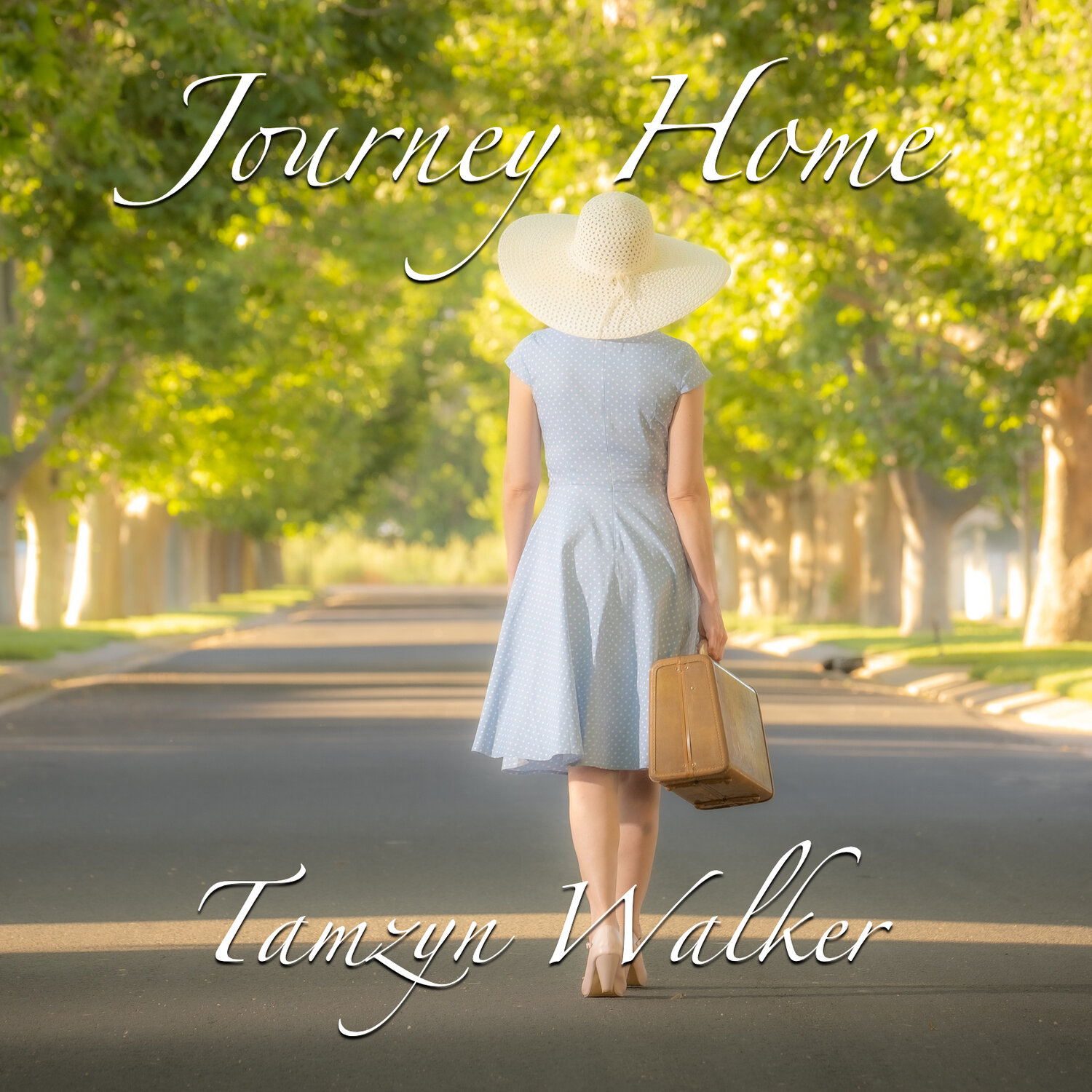 Front Cover of Journey Home by Tamzyn Walker